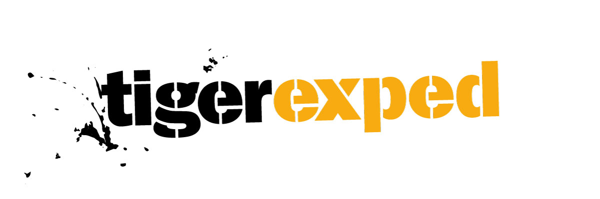 Sponsor 7 Logo